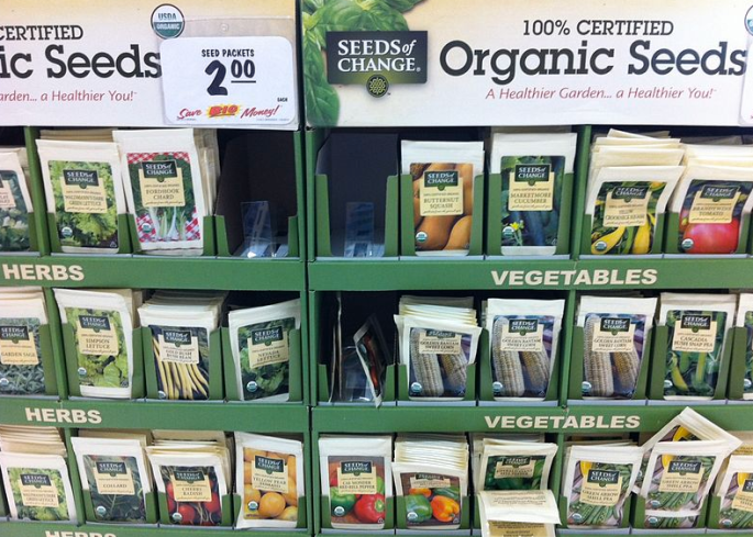 organic-seeds
