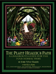 Plant Healer's Path